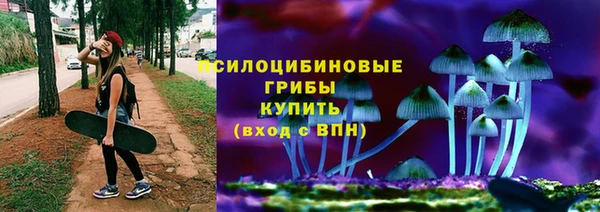 СК Аркадак